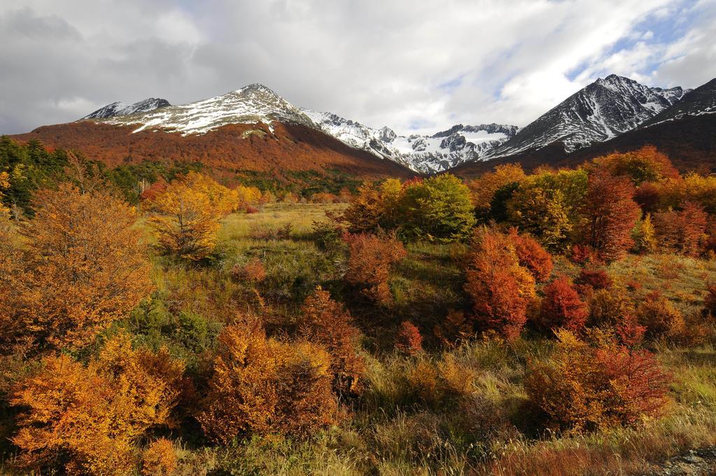 فندق Cumbres Del Martial أوشويا المظهر الخارجي الصورة